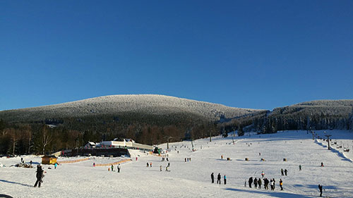 Lyžování